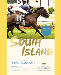 NZB’s South Island Sale Catalogue Available Now